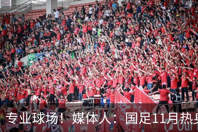 专业球场！媒体人：国足11月热身赛大概率移师肇庆进行