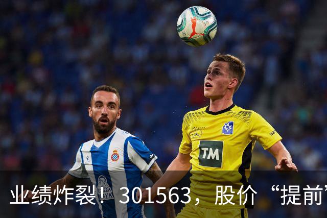 业绩炸裂！301563，股价“提前”大涨