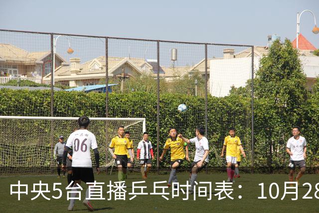中央5台直播乒乓时间表：10月28日CCTV5转播国乒！附冠军赛直播