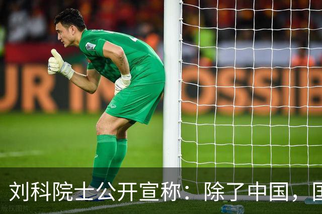 刘科院士公开宣称：除了中国，国外都是燃油车，百年前电车就输给了油车