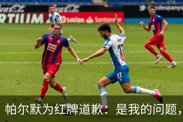 帕尔默为红牌道歉：是我的问题，会吸取教训