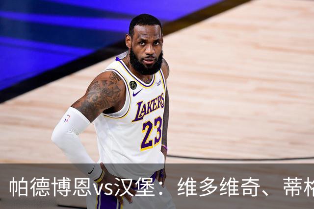 帕德博恩vs汉堡：维多维奇、蒂格斯首发，法比奥-维埃拉、波尔森出战