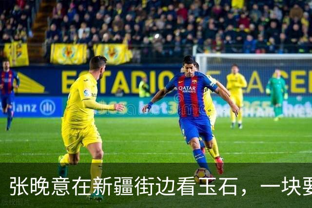 张晚意在新疆街边看玉石，一块要50万元，李沁：不怕被人顺走吗？
