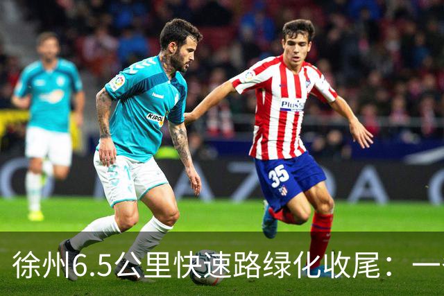 徐州6.5公里快速路绿化收尾：一条高架的价值，一半在桥面上，一半在桥下