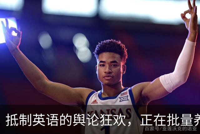 抵制英语的舆论狂欢，正在批量养出傲慢又无知的当代井底之蛙