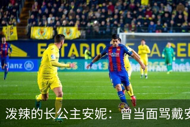 泼辣的长公主安妮：曾当面骂戴安娜是个蠢货，她输给卡米拉着实不冤