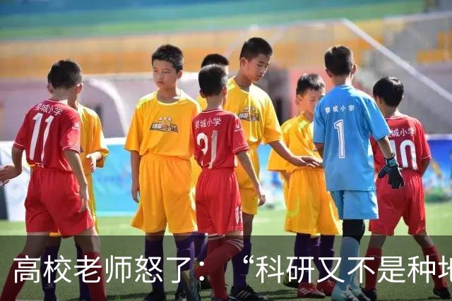 高校老师怒了：“科研又不是种地，年年有收成，而且就算种地还要考虑天灾呢！”高校逼学者高频考核出成果，还只许成功不许失败！
