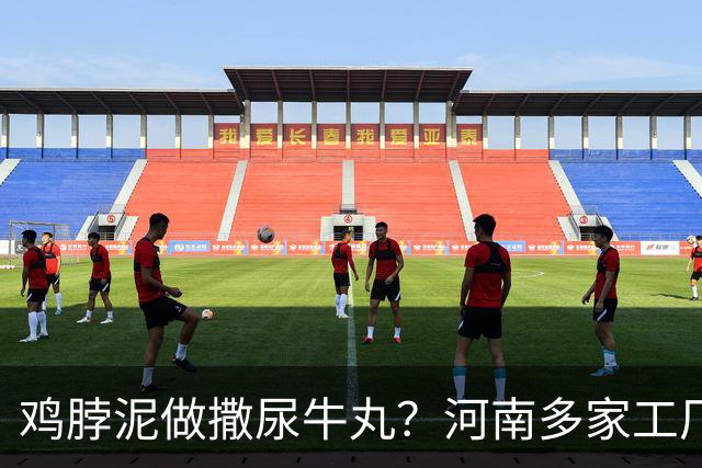 鸡脖泥做撒尿牛丸？河南多家工厂被曝光，厂家提醒：有馅料的少吃