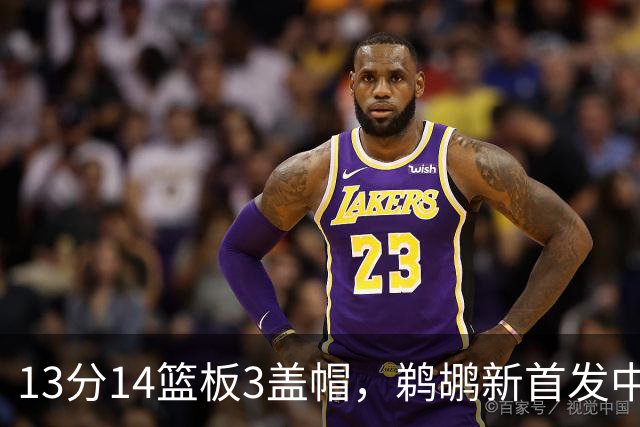 13分14篮板3盖帽，鹈鹕新首发中锋首秀交出两双
