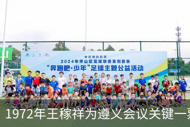 1972年王稼祥为遵义会议关键一票请求工作，毛主席如何做出批示？