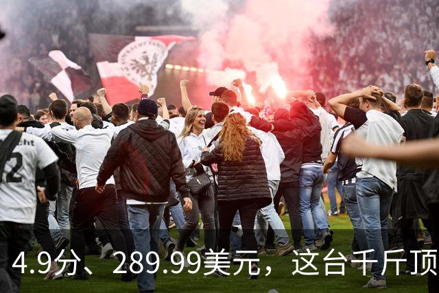 4.9分、289.99美元，这台千斤顶多了白色拉花