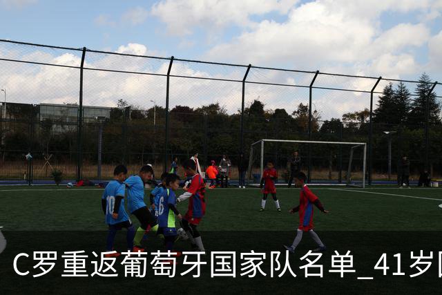 C罗重返葡萄牙国家队名单 41岁回归内幕揭秘